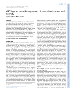 KNOX genes: versatile regulators of plant development and diversity