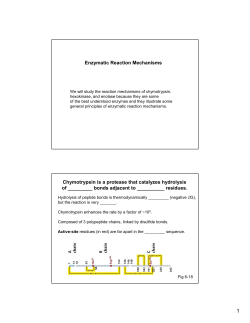 Part 2 (Enzymatic Reaction Mechanism)