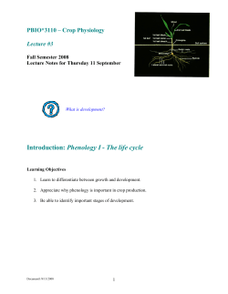 Introduction: Phenology I The life cycle