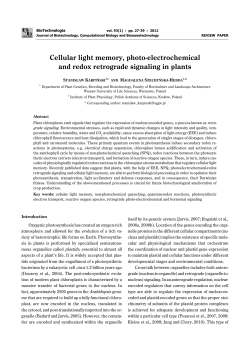 Cellular light memory, photo-electrochemical and