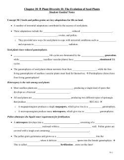 Chapter 30 - Student Guided Notes