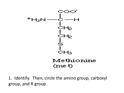 Diagram review packet