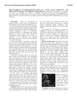 BIOAVAILABILITY OF MINERAL-BOUND IRON TO A SNOW ALGAE