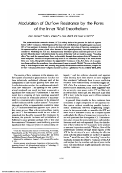 Modulation of outflow resistance by the pores of the inner