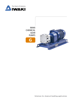 IWAKI Chemical Gear Pumps G series