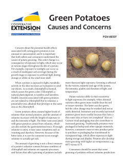 Green Potatoes - University of Alaska Fairbanks