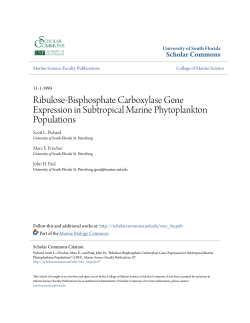 Ribulose-Bisphosphate Carboxylase Gene Expression in