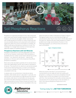 Soil Phosphorus Reactions - Cooperative Resources International