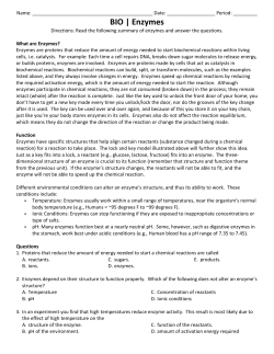 BIO | Enzymes