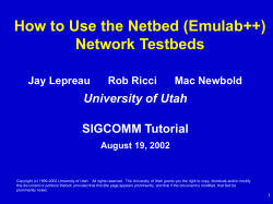 How to Use the Netbed (Emulab++) Network Testbeds