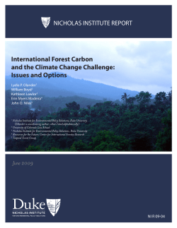 International Forest Carbon and the Climate Change Challenge