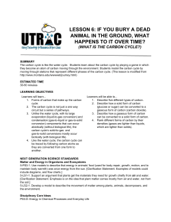 if you bury a dead animal in the ground, what happens to it over time?