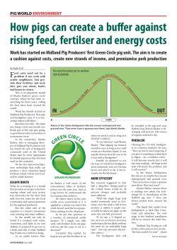 How pigs can create a bufier against rising feed, fertilser and energy