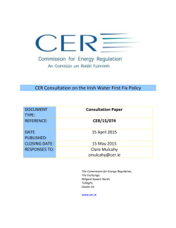 CER Consultation on the Irish Water First Fix Policy