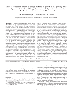 Effect of source and amount of energy and rate of growth in the