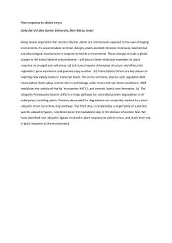 Plant response to abiotic stress Dudy Bar-Zvi, Ben