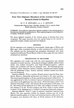 Four New Diphasic Members of the Arizona Group of Bacteria found