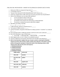 FINAL DNA, RNA, PROTEIN REVIEW &ndash; ANSWER THE FOLLOWING