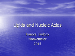 Lipids and Nucleic Acids