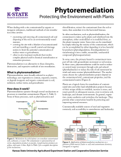 MF3067 Phytoremediation: Protecting the Environment with Plants
