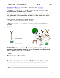 Food Web in a Deciduous Forest Name A
