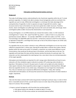 Chloroplast and Mitochondrial Isolation and Assay