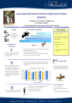 educational staircase