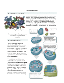 Evolution of the Cell