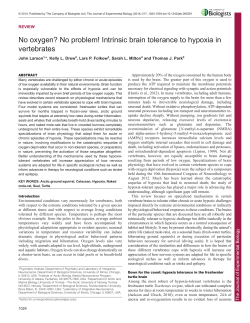 No oxygen? No problem! Intrinsic brain tolerance to hypoxia in