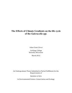 AdamGlover.doc - Dspace@Carthage