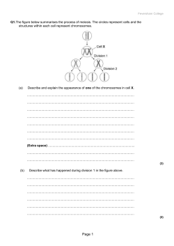 CellDivision
