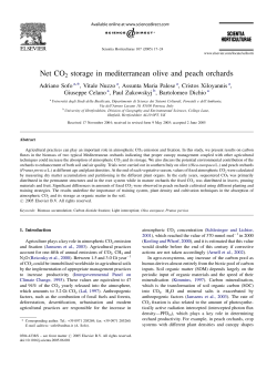 Net CO2 storage in mediterranean olive and peach orchards