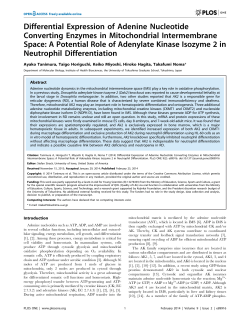 Differential Expression of Adenine Nucleotide Converting Enzymes