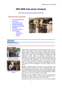 SNV Milk Sub-sector Analysis