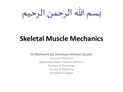 Skeletal Muscle Mechanics