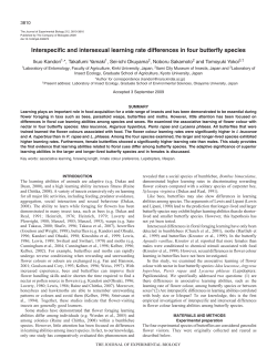 Interspecific and intersexual learning rate differences in four butterfly