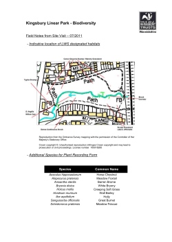 Draft Field Notes Kingsbury Linear Park Survey Oct 2012
