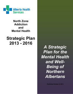 Addiction and Mental Health Strategic Plan for 2013