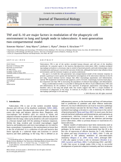 TNF and IL-10 are major factors in modulation of the phagocytic cell
