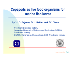 Copepods as live food organisms for marine fish larvae