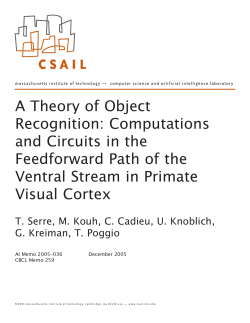 A theory of object recognition: computations and