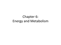 Chapter 6 Energy PowerPoint