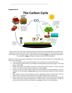 Lots of Watts supplements