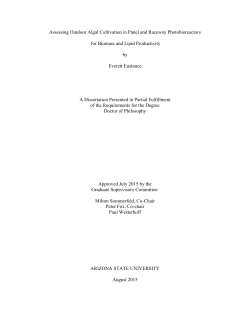Improving Algal Biomass or Lipid Productivity for Increased