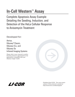 Apoptosis Assay Example Detailing the Seeding, Induction, and