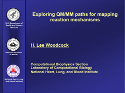 Exploring QM/MM paths for mapping reaction mechanisms - Q-Chem