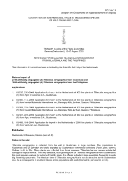 PC13 Inf. 5 - English