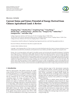 Current Status and Future Potential of Energy Derived from Chinese