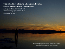 The Effects of Climate Change on Benthic Macroinvertebrate