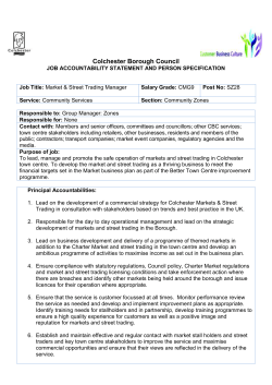 job accountability statements and person specification